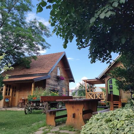 Apartments Vila Selena - Golija Rudno 외부 사진