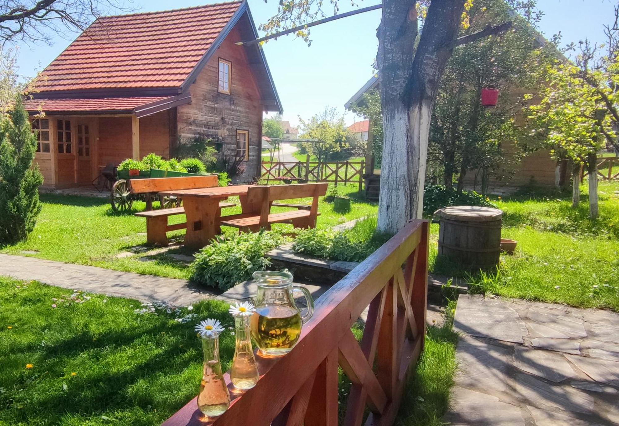 Apartments Vila Selena - Golija Rudno 외부 사진