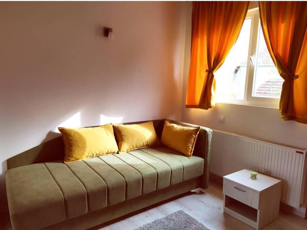 Apartments Vila Selena - Golija Rudno 외부 사진
