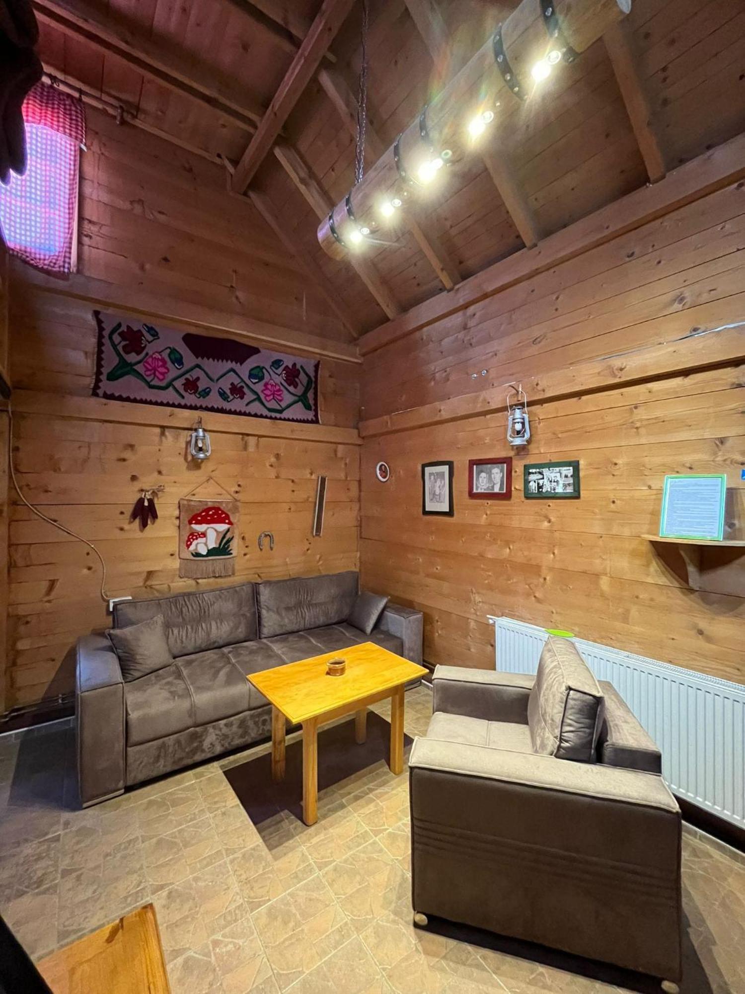 Apartments Vila Selena - Golija Rudno 외부 사진