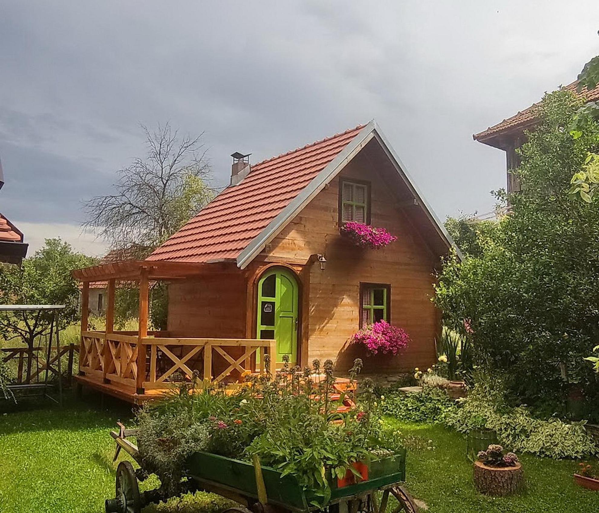 Apartments Vila Selena - Golija Rudno 외부 사진