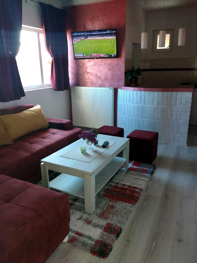 Apartments Vila Selena - Golija Rudno 외부 사진