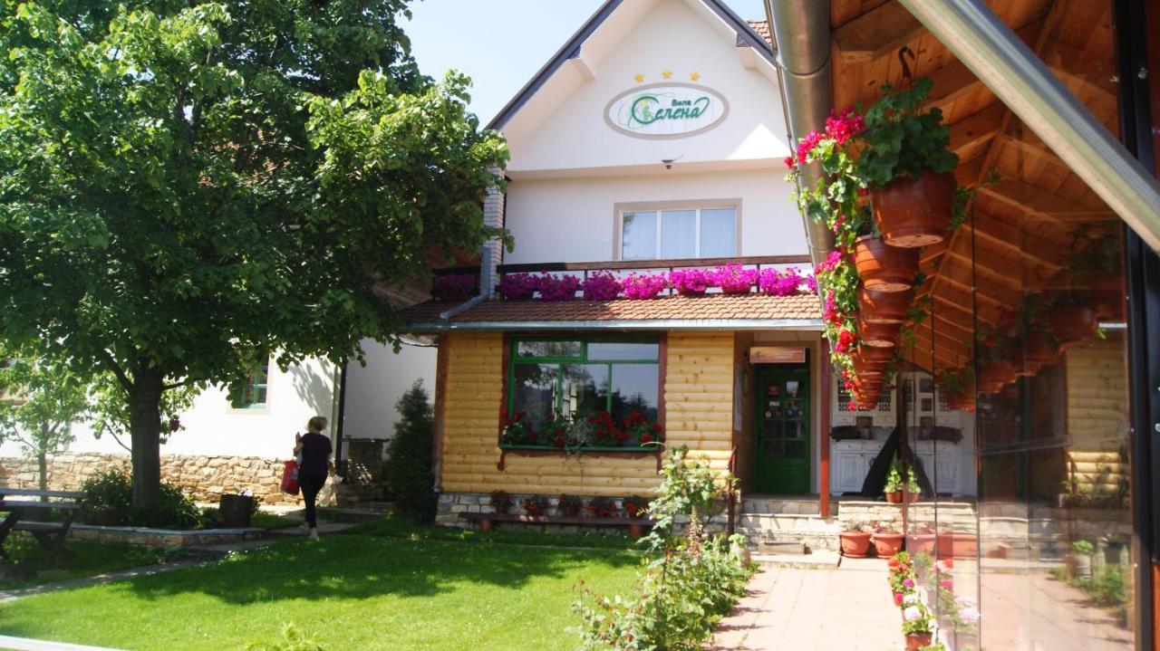 Apartments Vila Selena - Golija Rudno 외부 사진